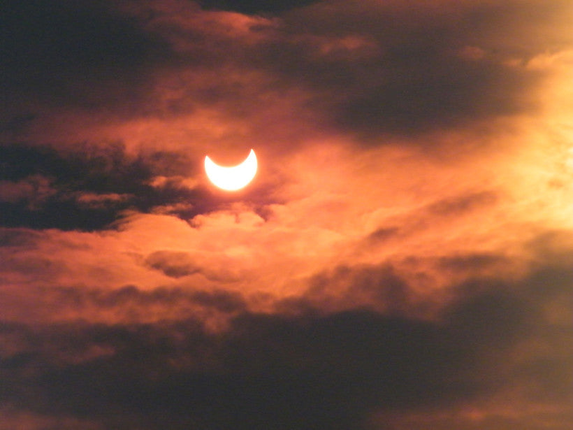 Vedic Astrology Reading