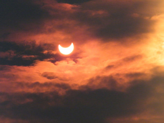 Vedic Astrology Reading